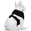 Walking Breathable Mesh Dog Harness for Puppies